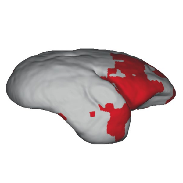 Publication Image